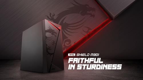 Kasalar / MSI Kasalar